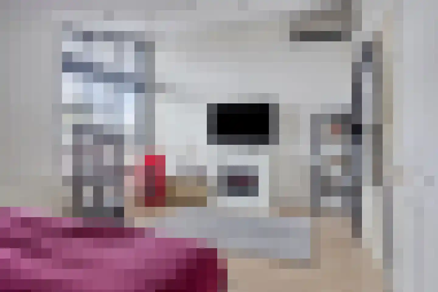 Van der Klugt Wittemansingel 19 Poeldijk thumbnail 27