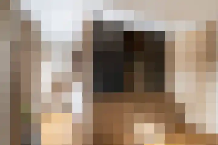 Van der Klugt Wittemansingel 7 Poeldijk thumbnail 28