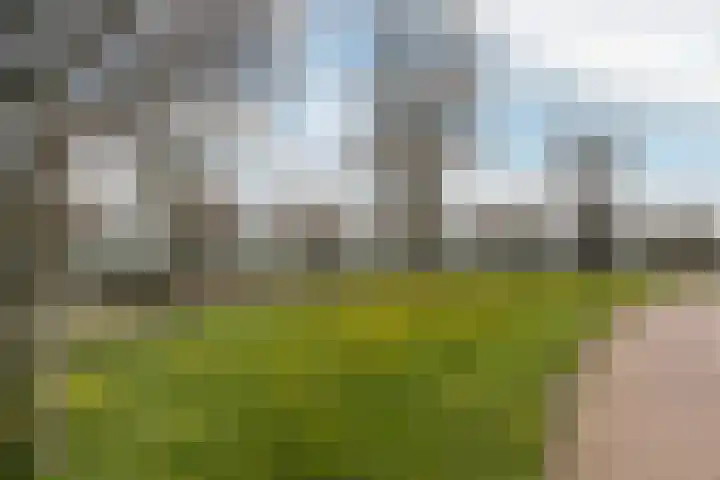 Van der Klugt Wittemansingel 7 Poeldijk thumbnail 44