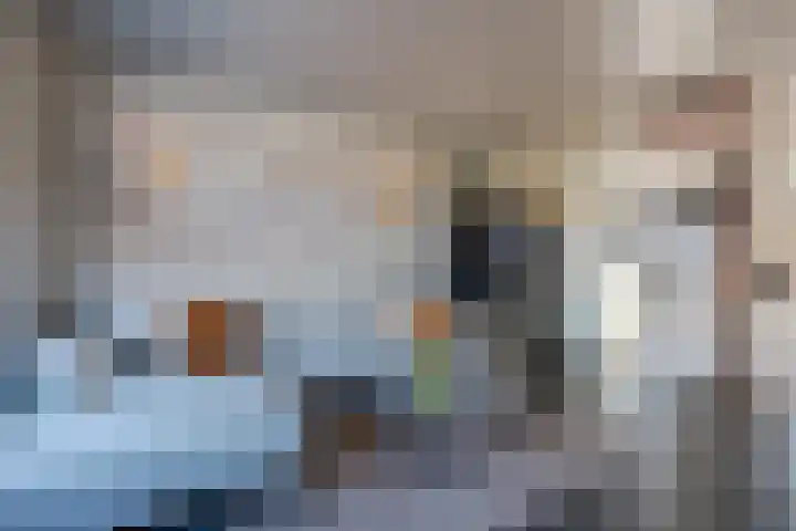 van der Koddestraat 3 Rijnsburg thumbnail 10