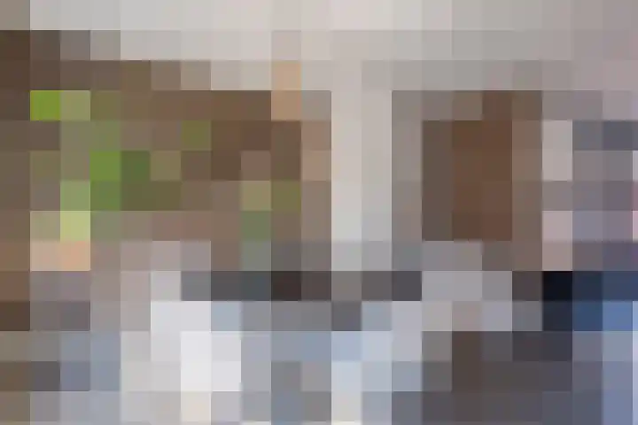 van der Koddestraat 3 Rijnsburg thumbnail 12