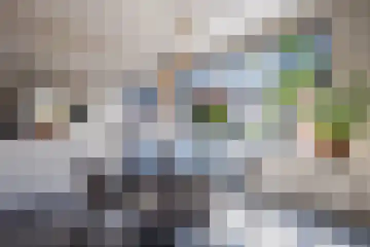 van der Koddestraat 3 Rijnsburg thumbnail 14