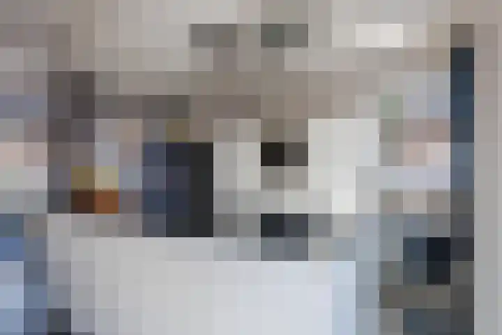 van der Koddestraat 3 Rijnsburg thumbnail 15