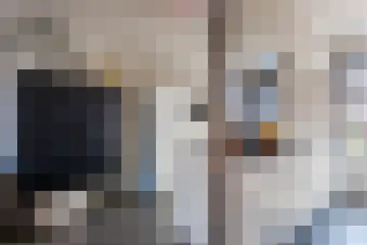 van der Koddestraat 3 Rijnsburg thumbnail 16