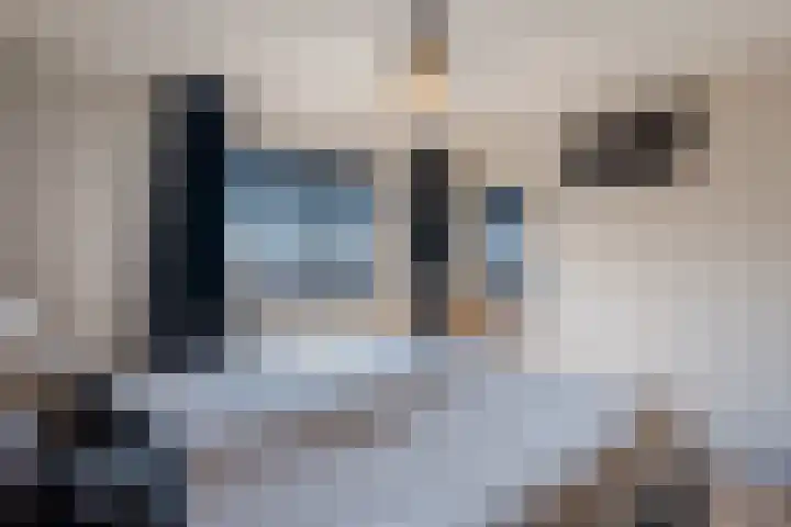 van der Koddestraat 3 Rijnsburg thumbnail 22