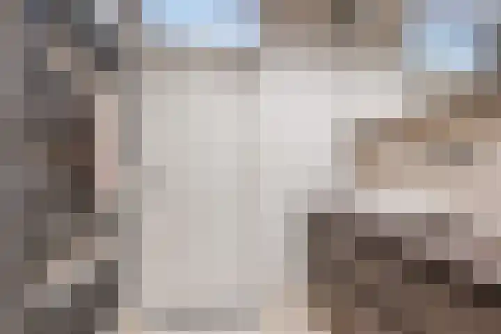 van der Koddestraat 3 Rijnsburg thumbnail 31