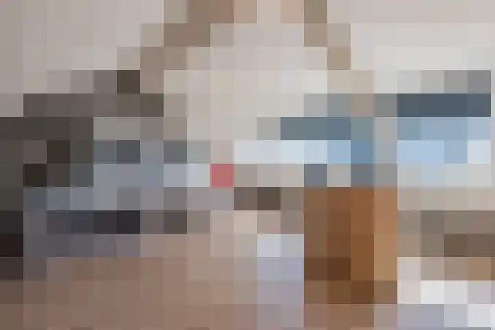 van der Koddestraat 3 Rijnsburg thumbnail 34