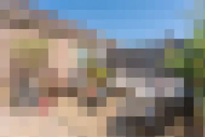 van der Koddestraat 6 Rijnsburg thumbnail 31