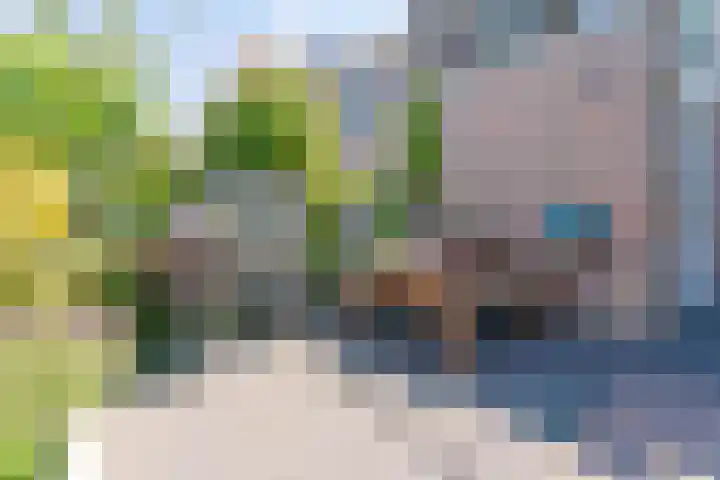 van der Koddestraat 6 Rijnsburg thumbnail 33