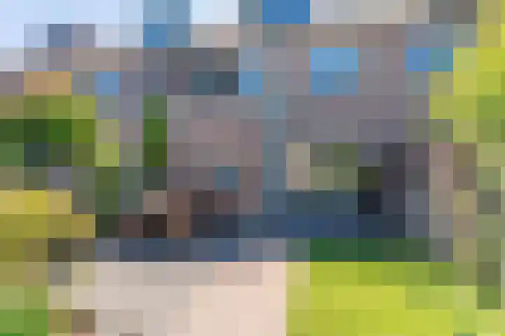 van der Koddestraat 6 Rijnsburg thumbnail 34
