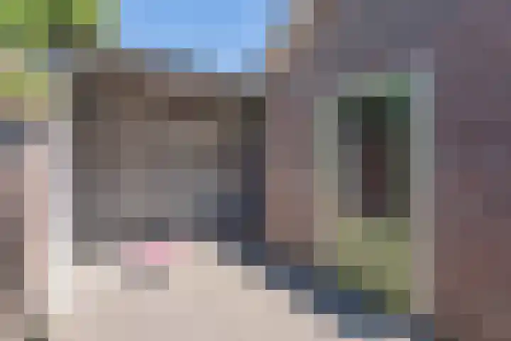 van der Koddestraat 6 Rijnsburg thumbnail 35