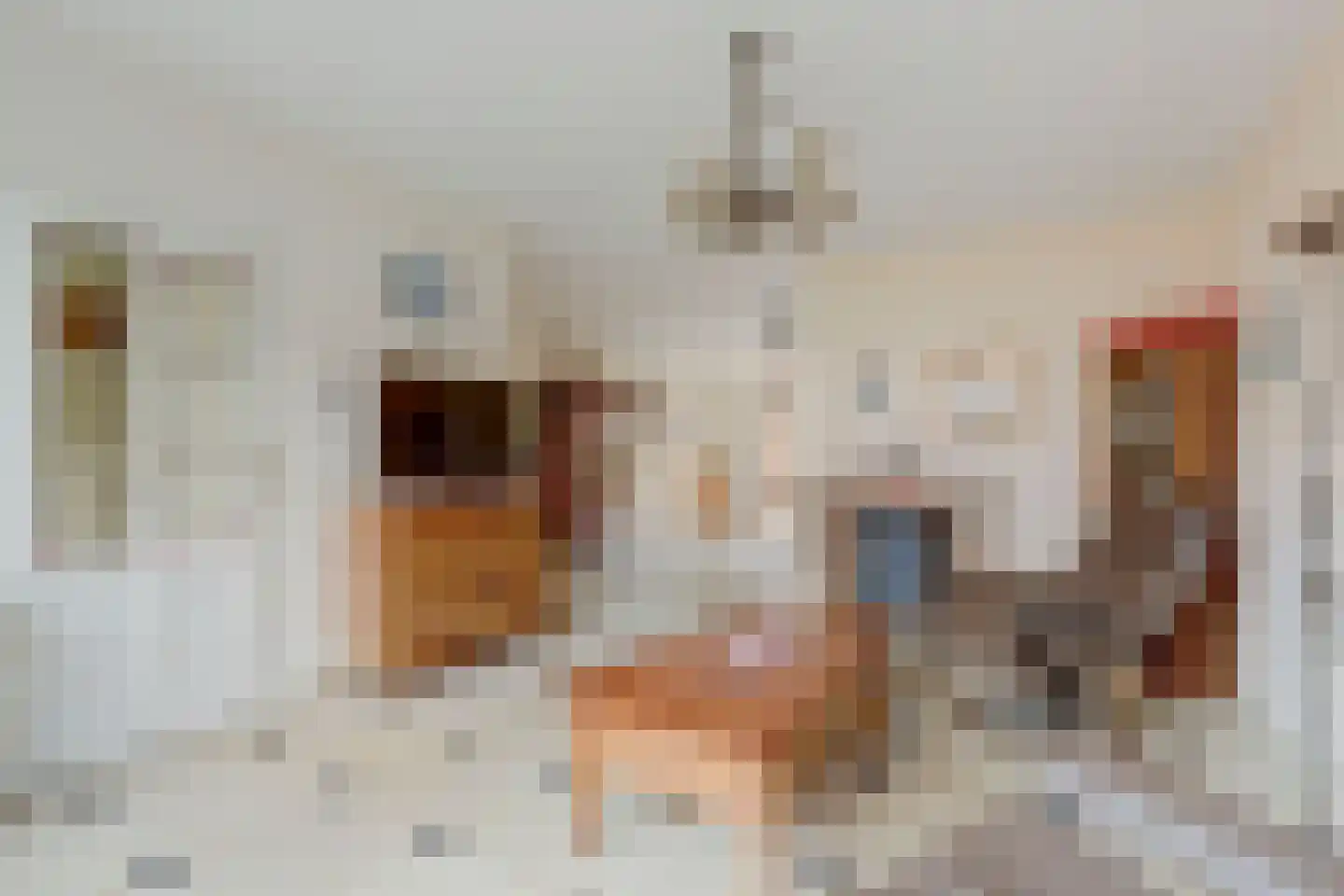 van der Koddestraat 9 Rijnsburg thumbnail 14