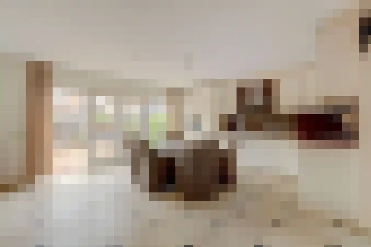 van der Koddestraat 9 Rijnsburg thumbnail 17