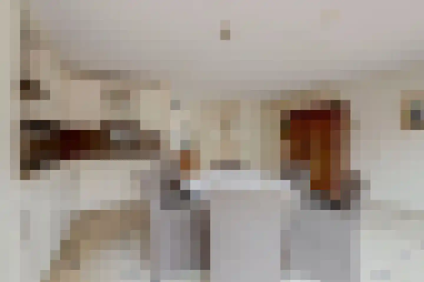 van der Koddestraat 9 Rijnsburg thumbnail 21