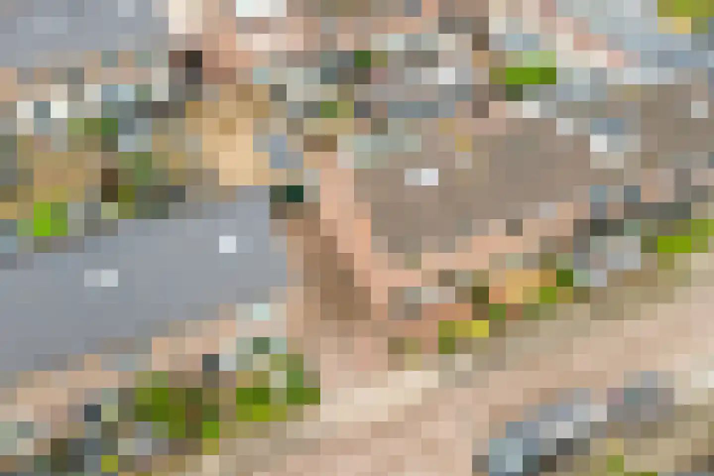 van der Koddestraat 9 Rijnsburg thumbnail 41