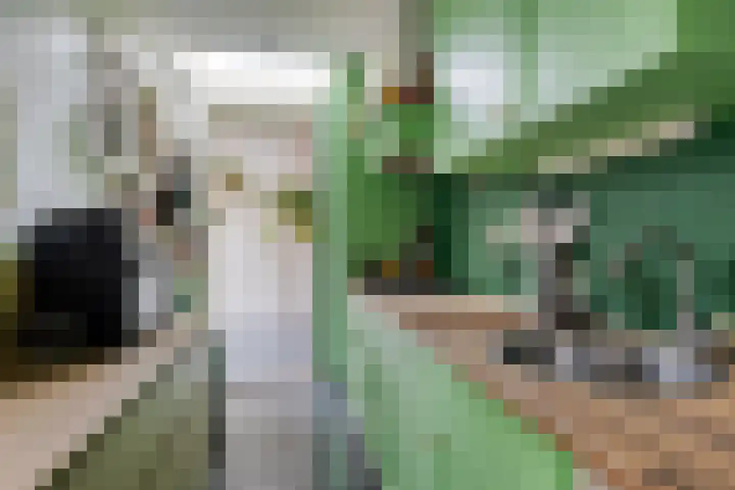 van der Kooijstraat 12 Leeuwarden thumbnail 8