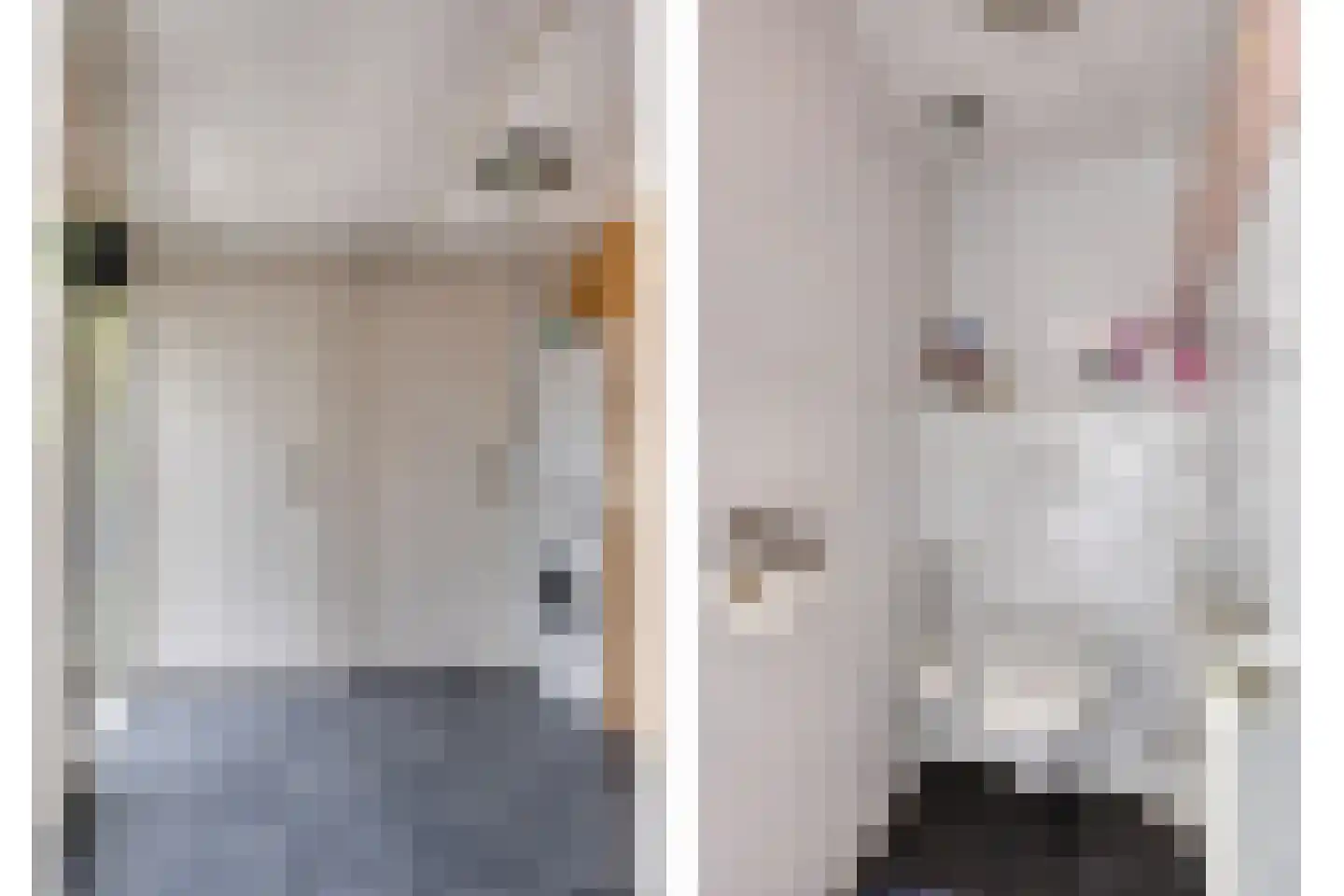 van der Kooijstraat 12 Leeuwarden thumbnail 9