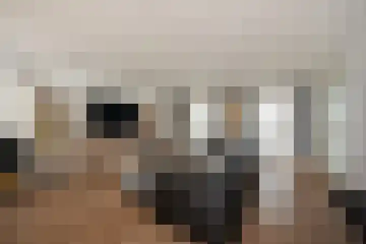 Van der Krukwater 12 Den Haag thumbnail 11