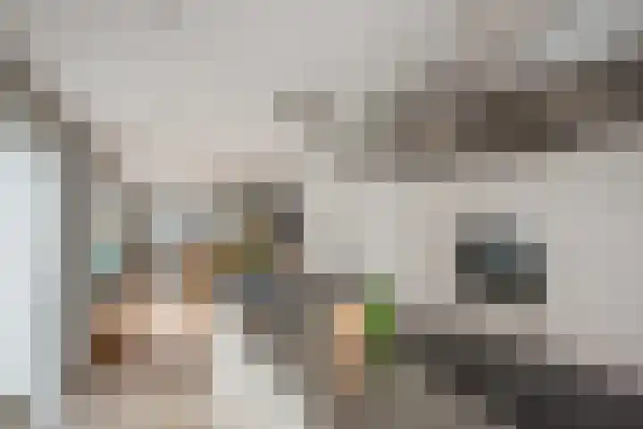 Van der Krukwater 12 Den Haag thumbnail 16