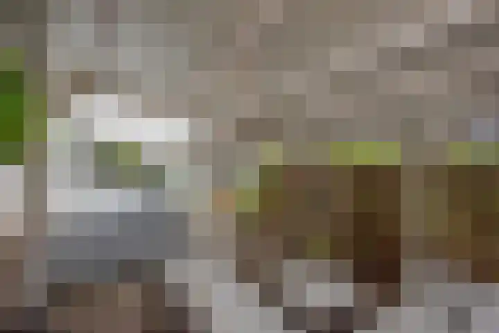Van der Krukwater 12 Den Haag thumbnail 20
