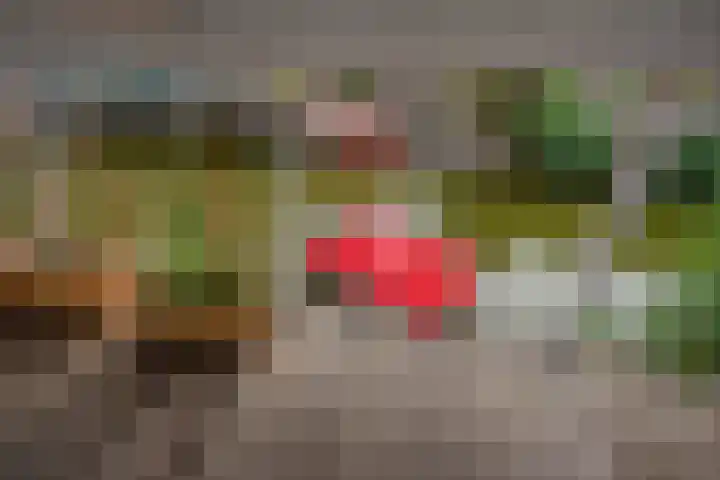 Van der Krukwater 12 Den Haag thumbnail 23