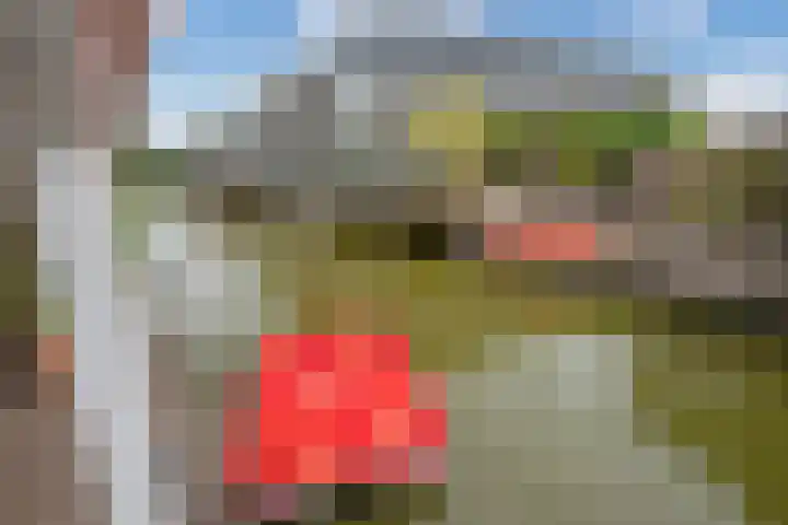 Van der Krukwater 12 Den Haag thumbnail 24