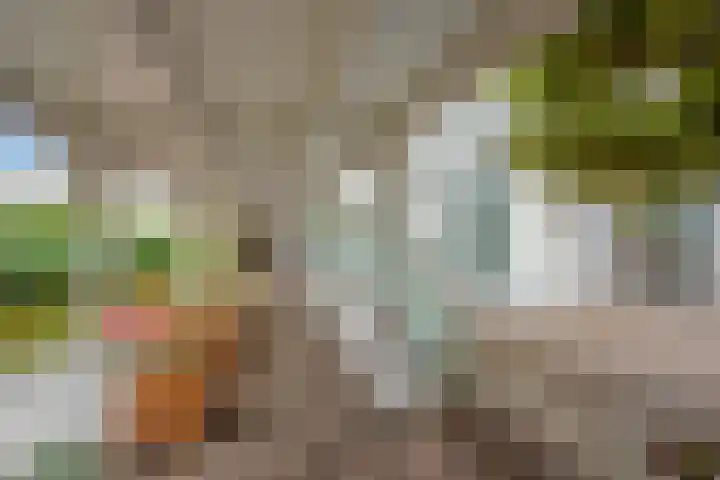 Van der Krukwater 12 Den Haag thumbnail 26