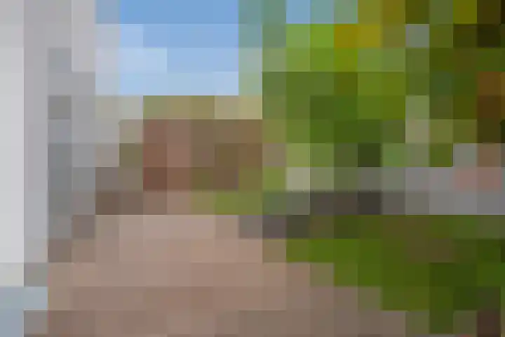 Van der Krukwater 12 Den Haag thumbnail 27