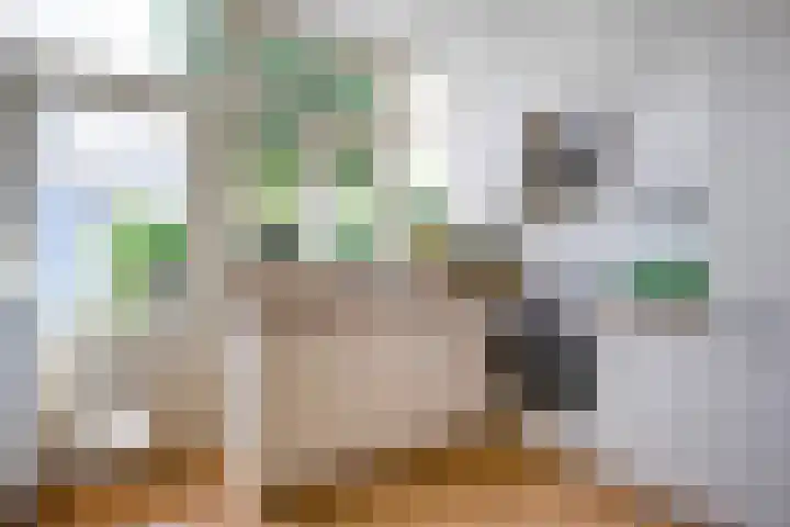 Van der Laenstraat 11 Zwolle thumbnail 10