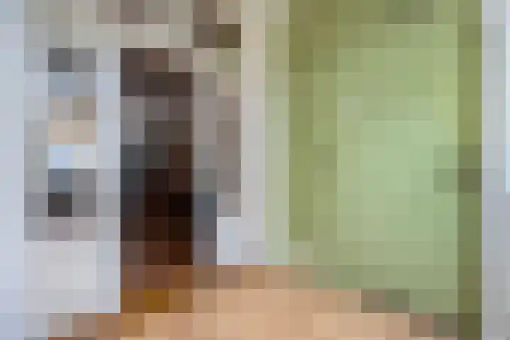 Van der Laenstraat 11 Zwolle thumbnail 11