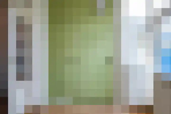 Van der Laenstraat 11 Zwolle thumbnail 13