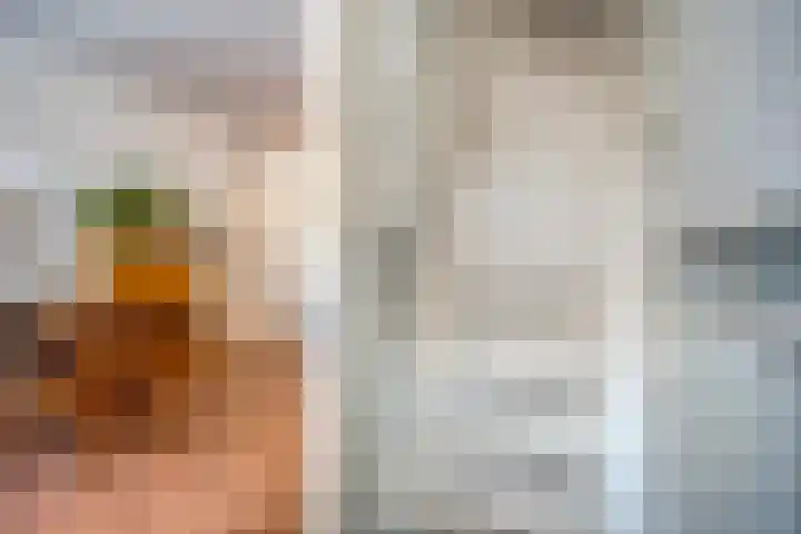 Van der Laenstraat 11 Zwolle thumbnail 14