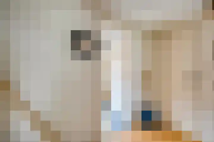 Van der Laenstraat 11 Zwolle thumbnail 17