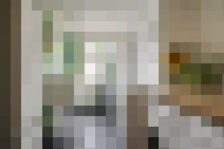 Van der Laenstraat 11 Zwolle thumbnail 20