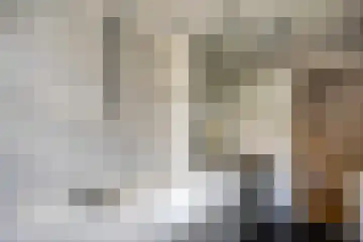 Van der Laenstraat 11 Zwolle thumbnail 21