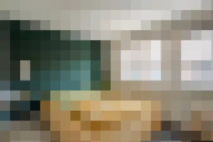 Van der Laenstraat 11 Zwolle thumbnail 22