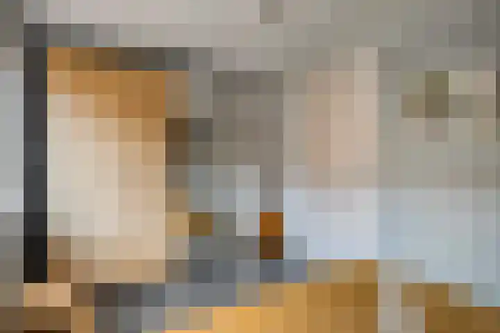 Van der Laenstraat 11 Zwolle thumbnail 23