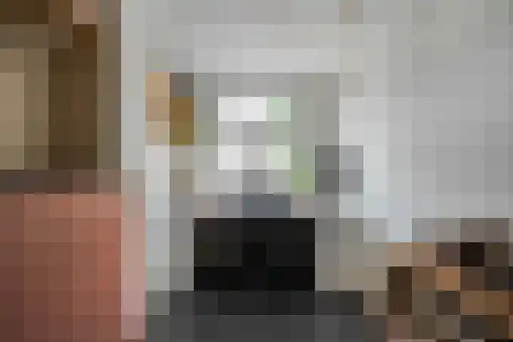 Van der Laenstraat 11 Zwolle thumbnail 24