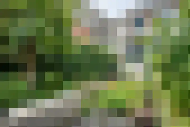 Van der Laenstraat 11 Zwolle thumbnail 29