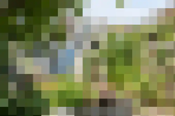 Van der Laenstraat 11 Zwolle thumbnail 30