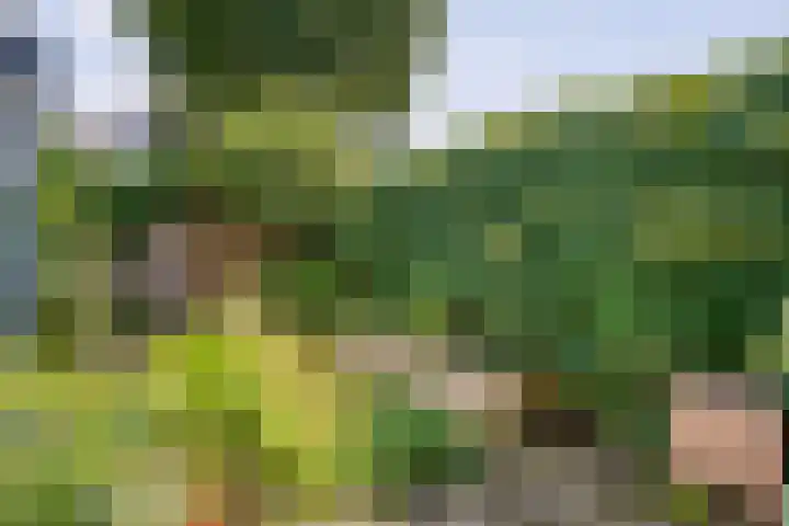 Van der Laenstraat 11 Zwolle thumbnail 31