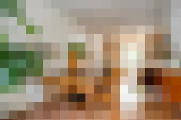 Van der Laenstraat 11 Zwolle thumbnail 4