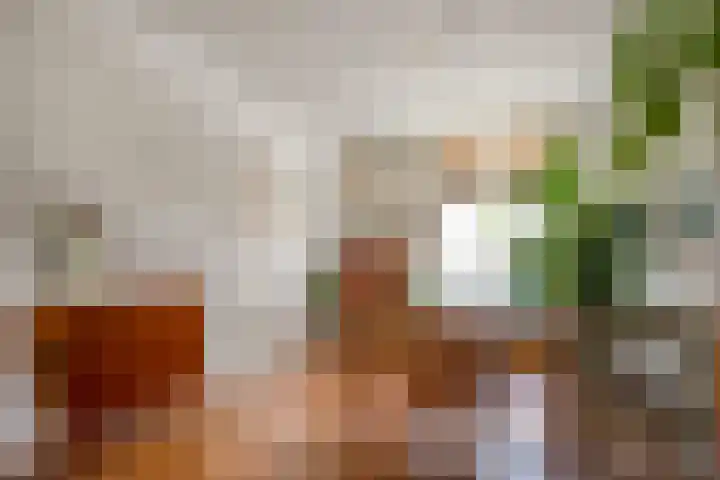 Van der Laenstraat 11 Zwolle thumbnail 5
