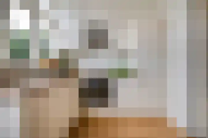 Van der Laenstraat 11 Zwolle thumbnail 8