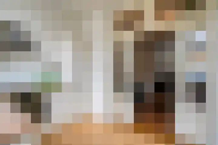 Van der Laenstraat 11 Zwolle thumbnail 9