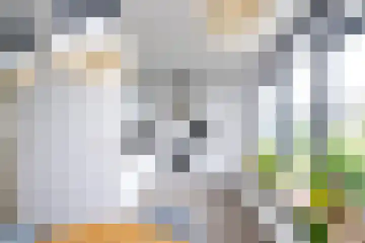 Van der Laenstraat 122 Zwolle thumbnail 11