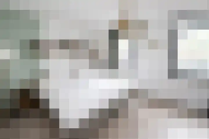 Van der Laenstraat 122 Zwolle thumbnail 13
