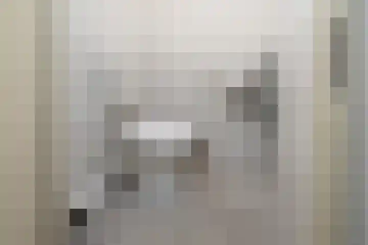 Van der Laenstraat 122 Zwolle thumbnail 18