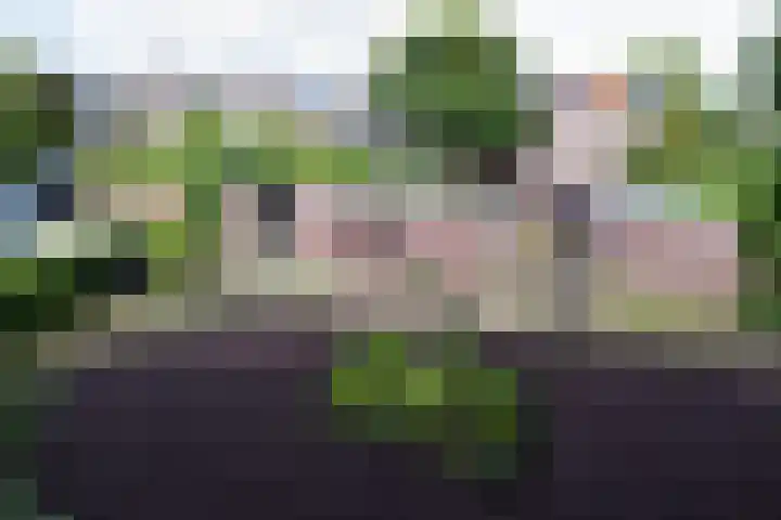 Van der Laenstraat 122 Zwolle thumbnail 21