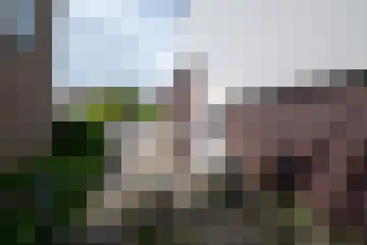 Van der Laenstraat 122 Zwolle thumbnail 22
